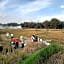 Pondok Gandalangu Ubud-Dikelilingi Hamparan Sawah
