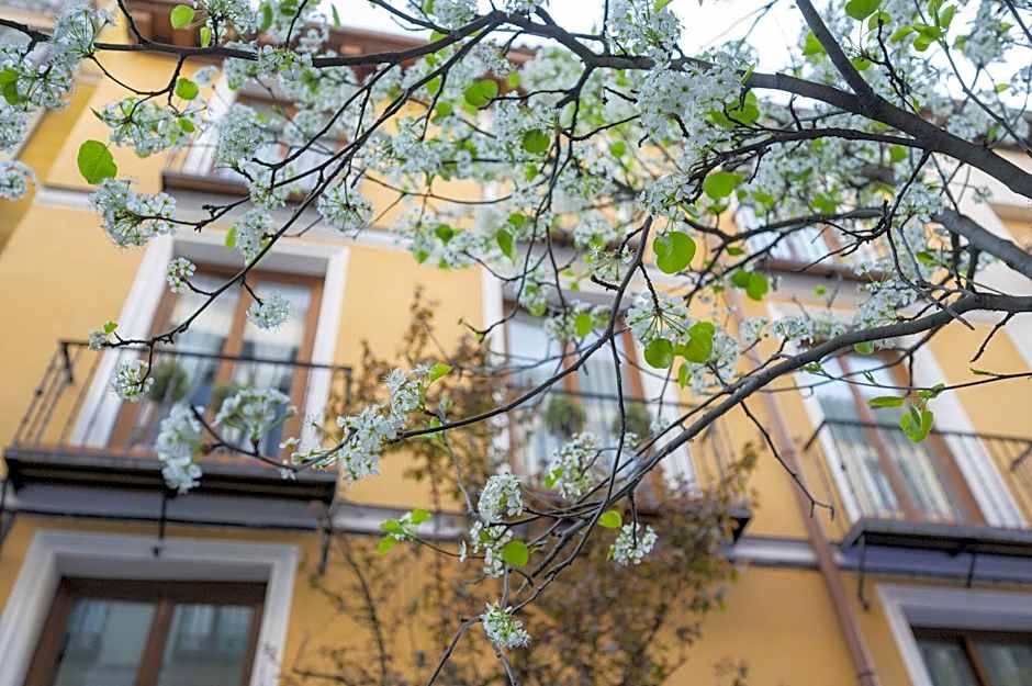 Apartamentos Huertas