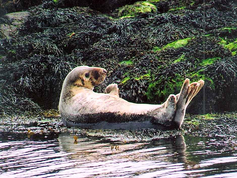 The Isles of Glencoe Hotel