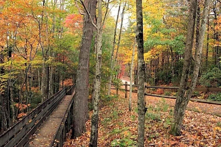 Nacoochee Valley Rentals