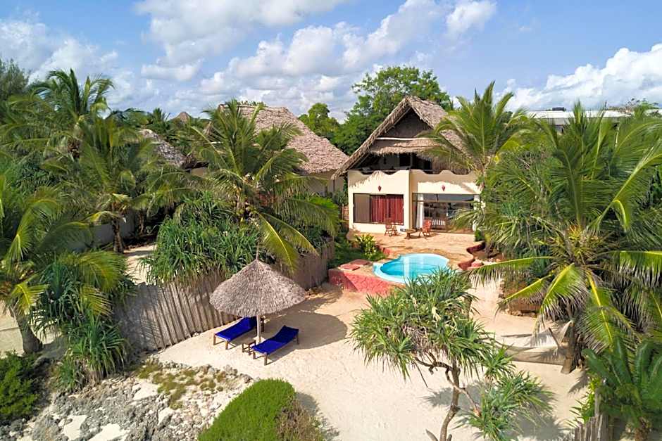The Zanzibari