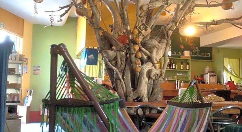 Organic Guesthouse & Cafe OHANA