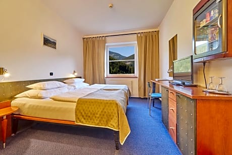 Special Offer - Double Room with Wellness Package