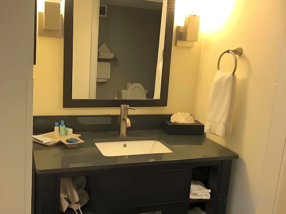 Best Western Plus Roswell/Alpharetta