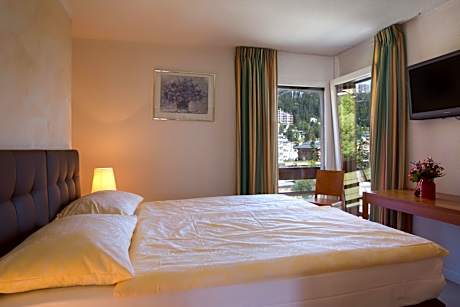 Executive Double Room with Balcony and Mountain View
