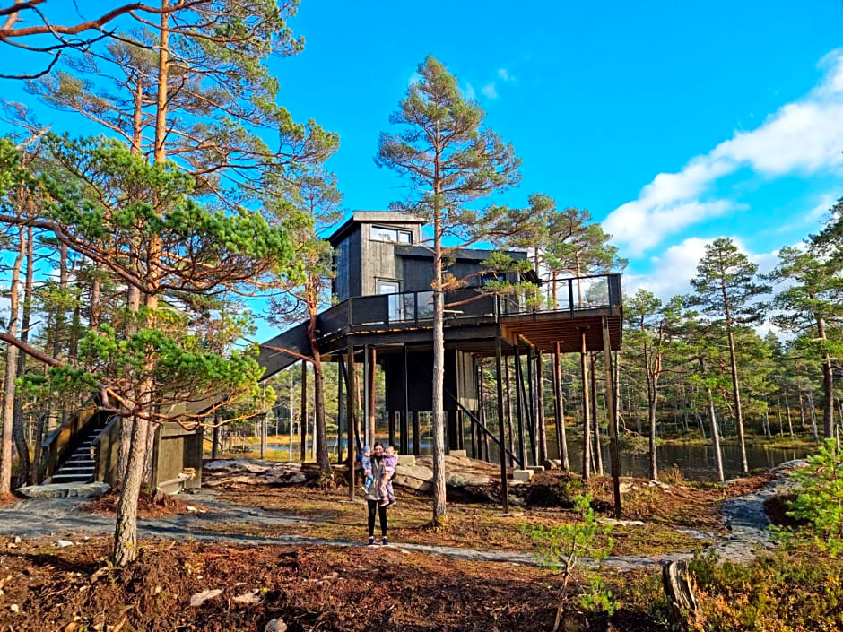 Iveland Tree Top Panorama