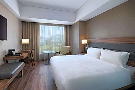 Lifestyle King Size Room