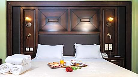 Double/Twin Room with Meteora View