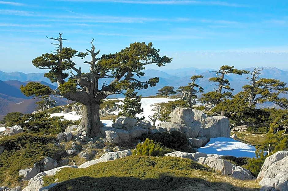 Best Western Hotel Imperiale