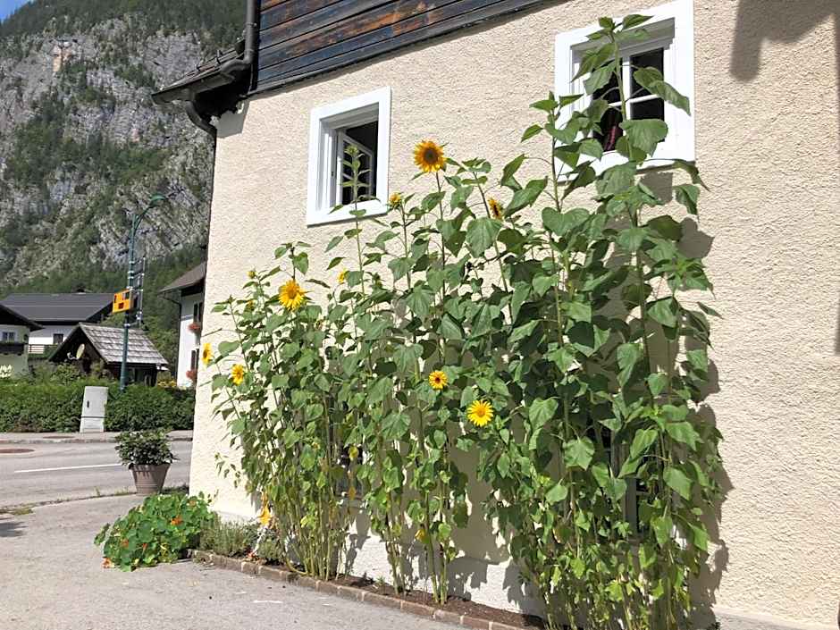 Fenix Hall Boutique Hotel Hallstatt