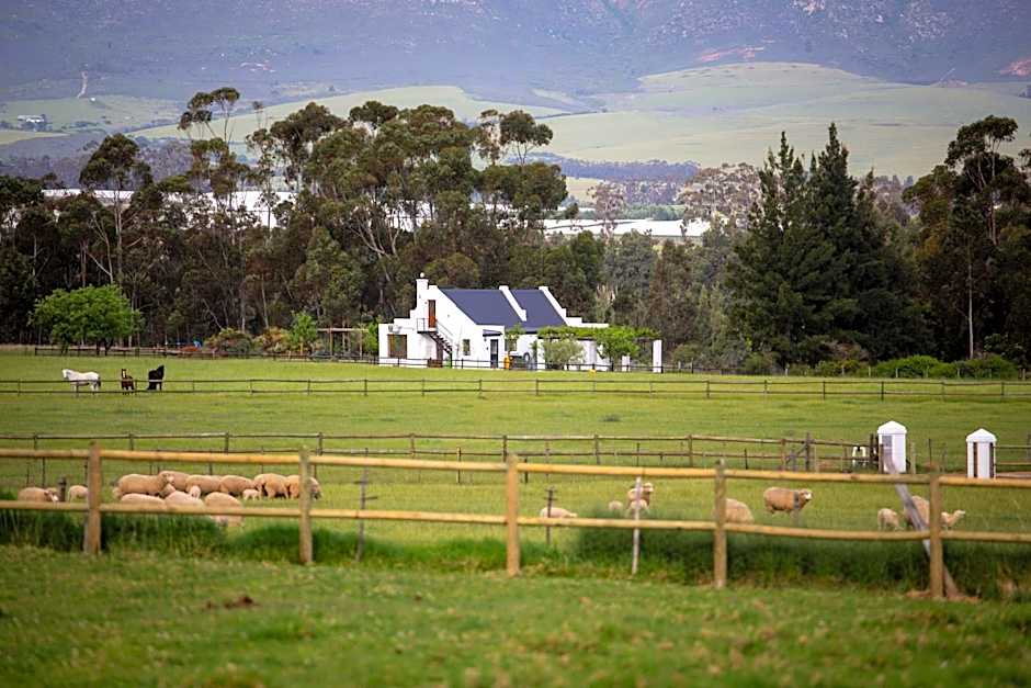 Raptor Rise Farm