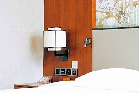 King Room - Mobility Accessible