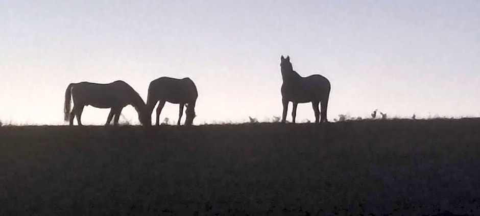 Domaine Le Lanis Chambre d'hôtes avec spa sur réservation