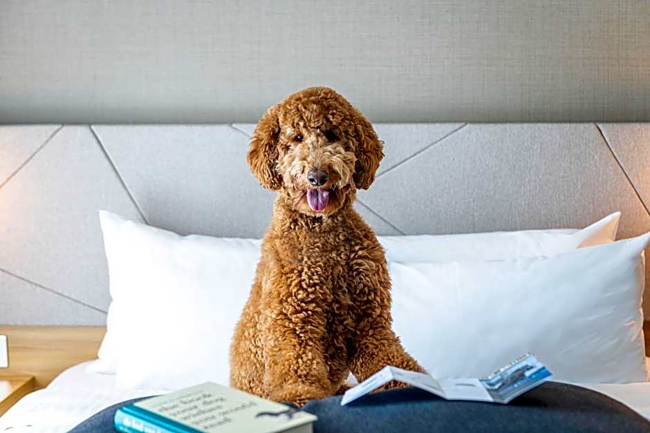 Residence Inn by Marriott Slough