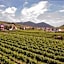 STIERSCHNEIDER'S Weinhotel Wachau & Wiazhaus