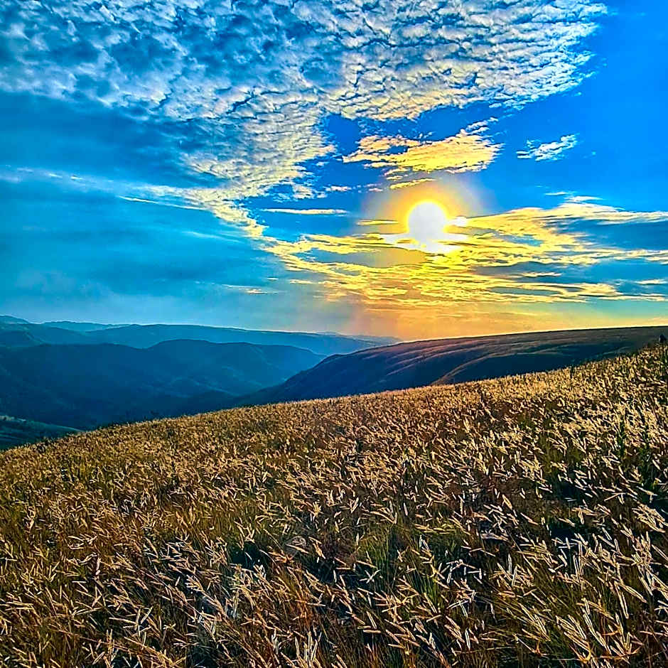 Pousada Pato Mergulhão