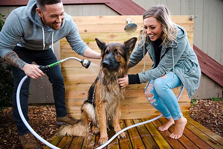 Salishan Coastal Lodge