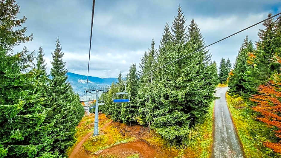 Chata pod Mravenečníkem