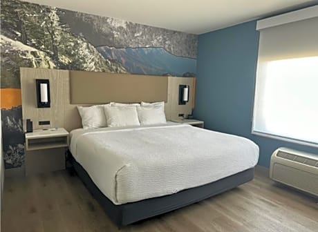 1 King Bed and 1 Sleeper Sofa, One-Bedroom Suite, Non-Smoking
