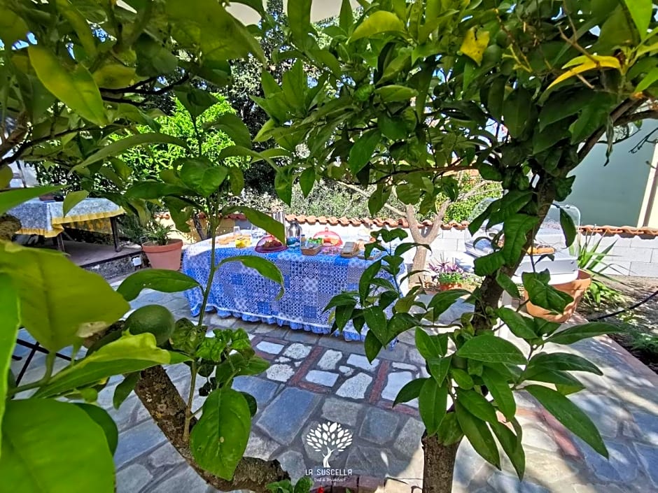 La Suscella Bed & Breakfast