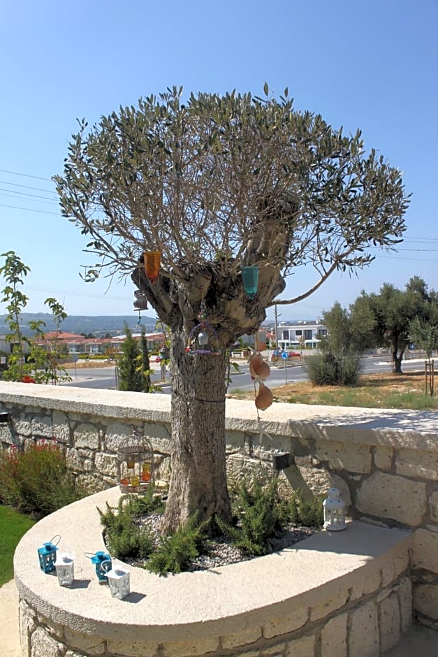 Eritrina Alacati