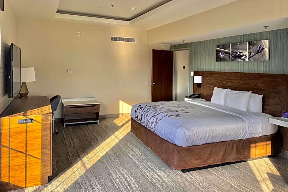 Sleep Inn Oakbrook Terrace - Chicago