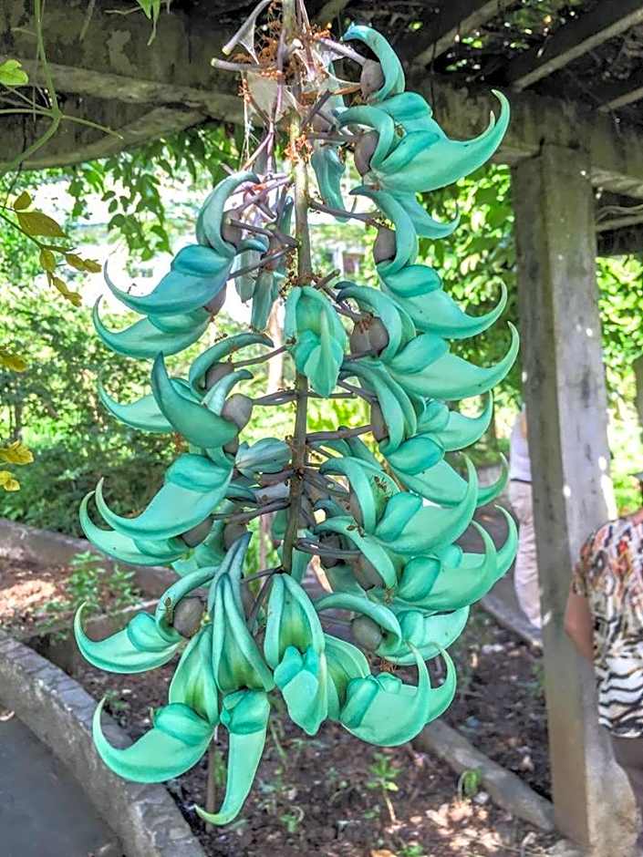 Mirisbiris Garden and Nature Center