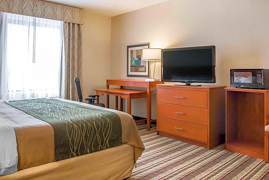 Comfort Inn Metro Airport Romulus