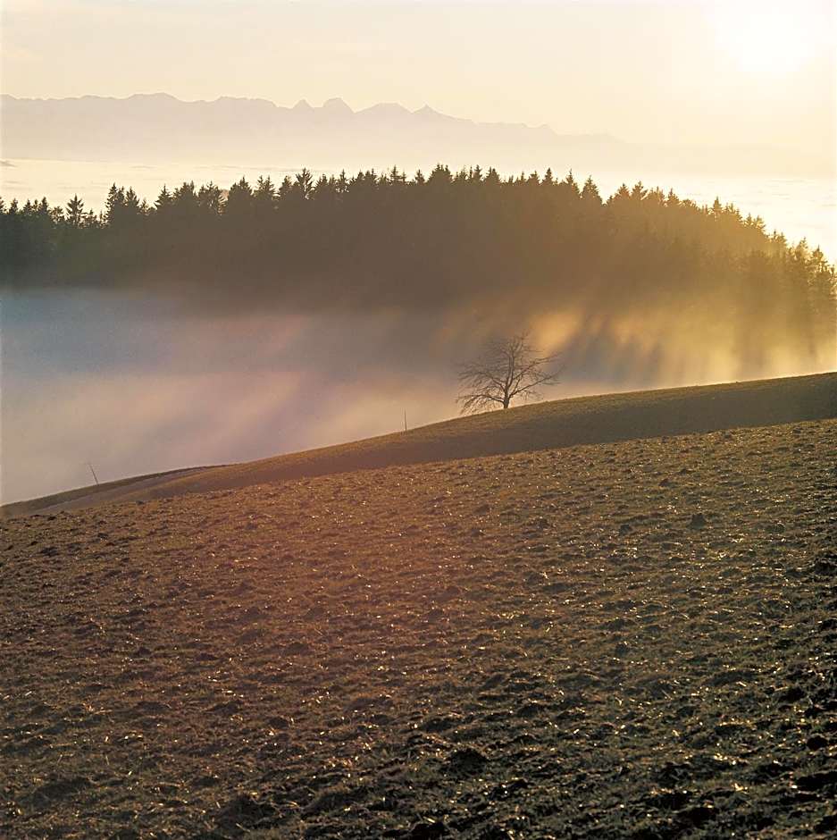 BnB SchlafSchloss
