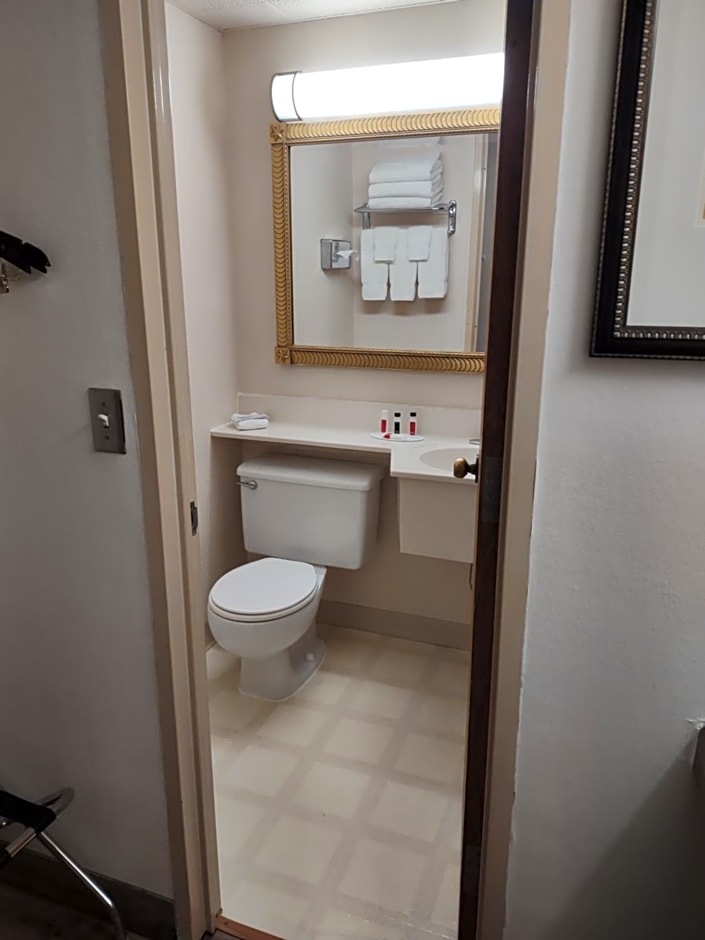 Albert Lea Inn and Suites