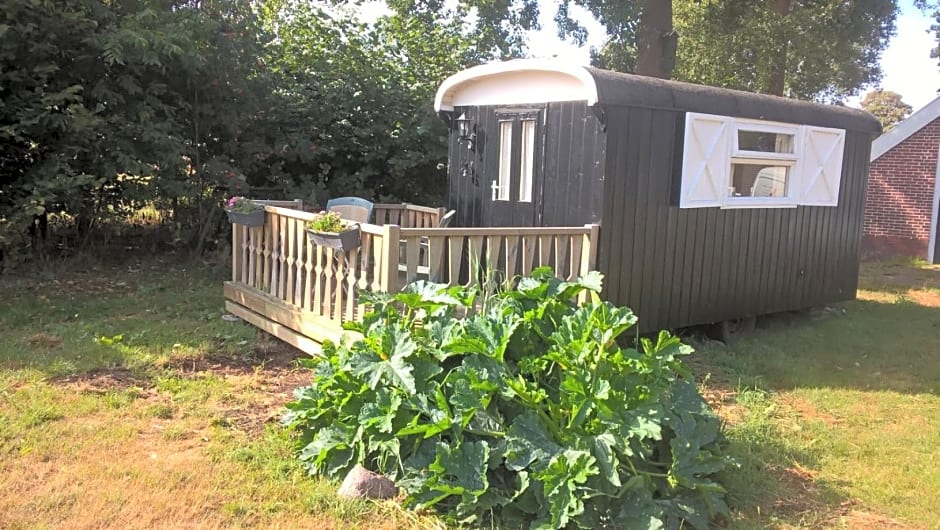 Pipowagen Lidewei Groningen Westerwolde unieke ligging met eigen tuin en vrij uitzicht over veld naar natuurgebied