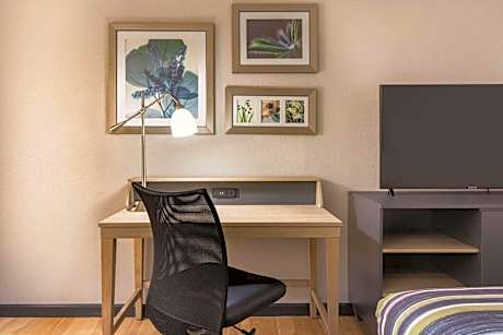 King Studio with Sofa Bed - Disability Access