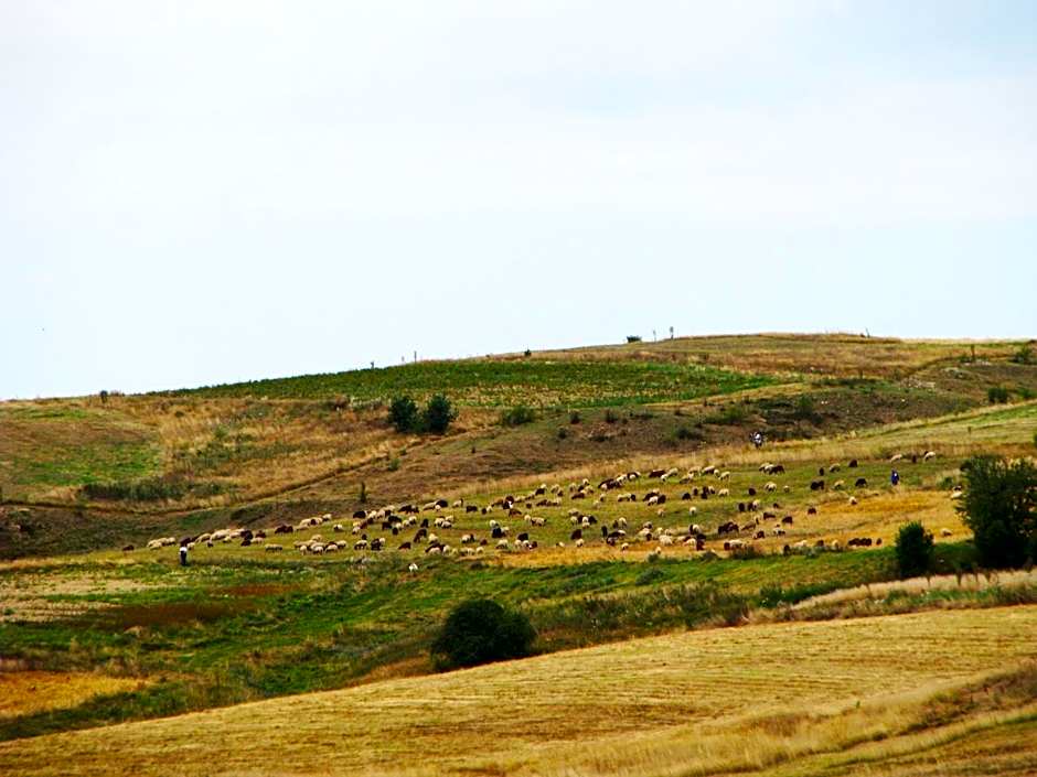 Park Hotel Eagle Stone