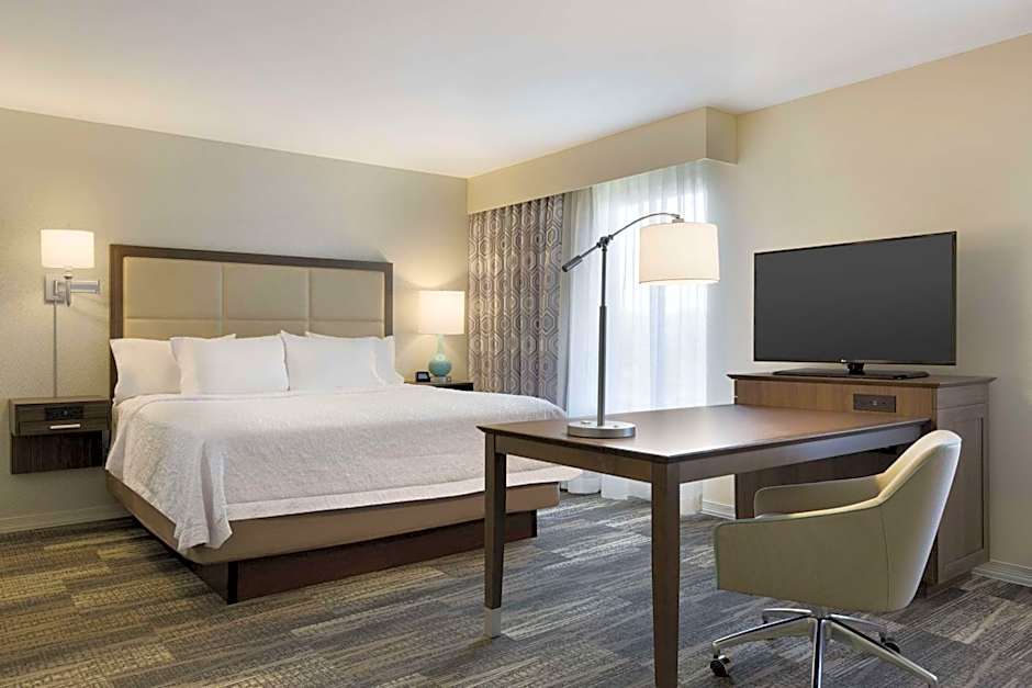 Photo 1 of 13 of Studio 1 King Bed with Sofabed Suite, Hearing Accessible