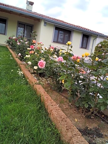 B&B Fili d'erba