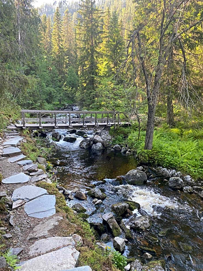 Sonfjällsgårdens Wärdshus & Hotell