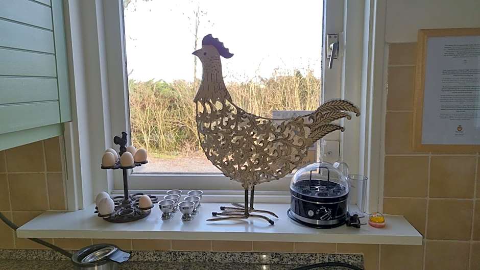 City Farmer Amsterdam a Guesthouse with Free Parking, Bikes , Bed & Breakfast