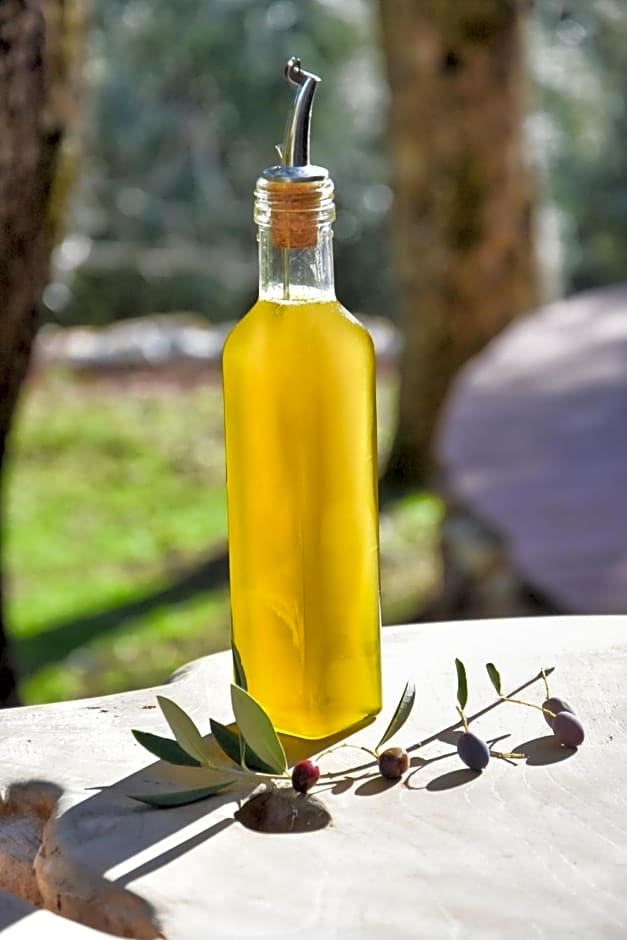 L'oliveraie du Fango