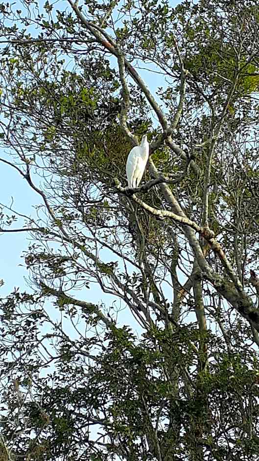 Casa Chale 10 Florianópolis