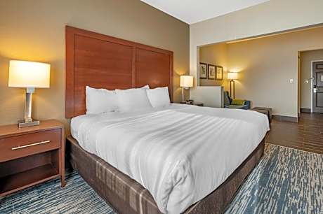 King Suite - Accessible/Non-Smoking