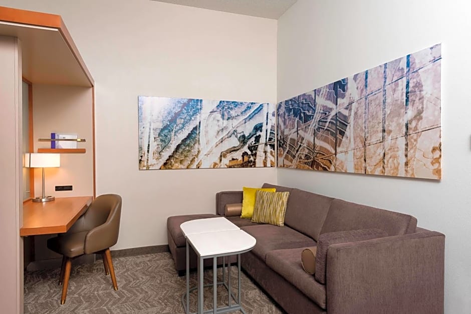 SpringHill Suites by Marriott Detroit Auburn Hills