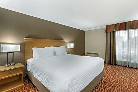 Suite - 1 King 2 Double Beds, Non-Smoking, High Speed Internet Access, Coffee Maker, Iron And Ironin
