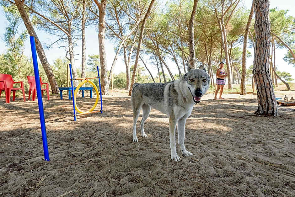 THR - ISA-Appartament plus 4 beds, air conditioning and private outdoor area in Village with 6 swimming-pools