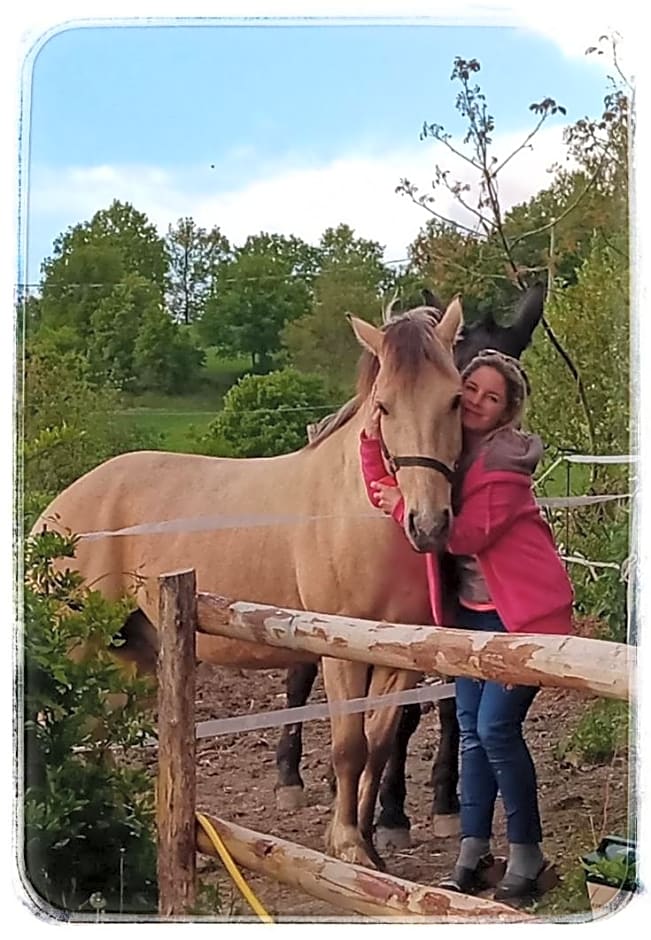 Bed and Breakfast Balli coi Lupi