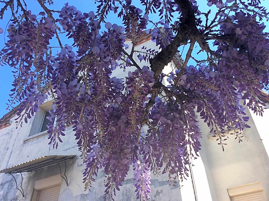 Logis Hotels- Auberge de la Tour - Hôtel et restaurant