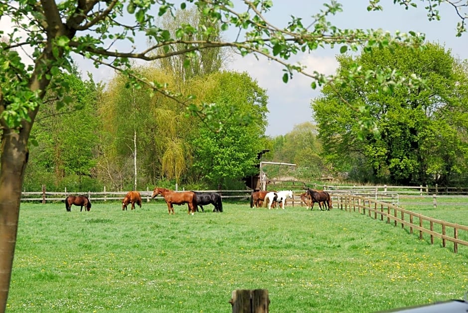 Landgasthof Pleister Mühle