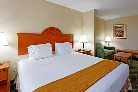 1 King Suite Mobil Access Tub Sofa Bed