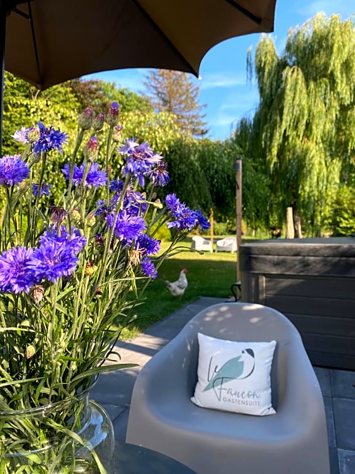 Boutique Hotel Le Faucon