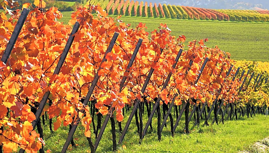 Kreuz-Post Hotel-Restaurant-SPA