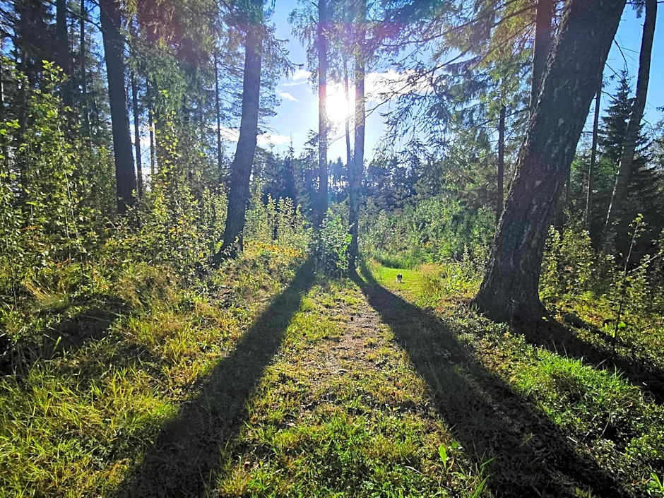 Ainja Puhkemaja